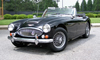 Superflex Bushes - Austin Healey