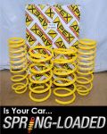 Apex Spring Kit Ford Ka I 01/2000 to 2008 -35mm