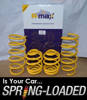 A-MAX Lowering Springs for Renault Clio II 2.0 Sport 172/182 1999-2005 -40mm