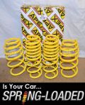Apex Spring Kit Honda Civic VII Type-R 03/2007 onwards -25mm